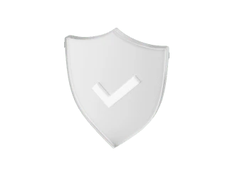 Trust Your Security to SwissPC Professionals