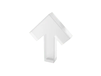 Elevate Your Brand Today